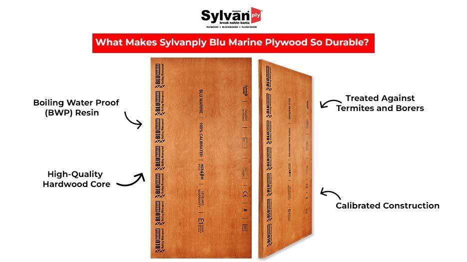 What Makes Sylvanply Blu Marine Plywood So Durable 